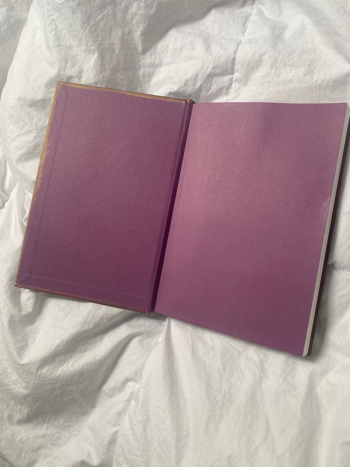 M.O.O.N. Journal - Celestial Dreams